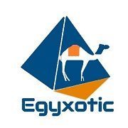 Egyxotic